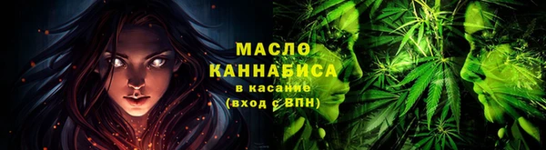 МДПВ Краснослободск