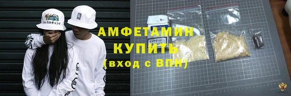индика Новочеркасск