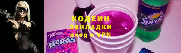 МДПВ Краснослободск