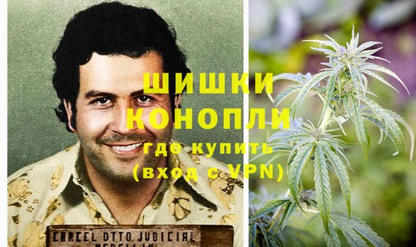 МДПВ Краснослободск